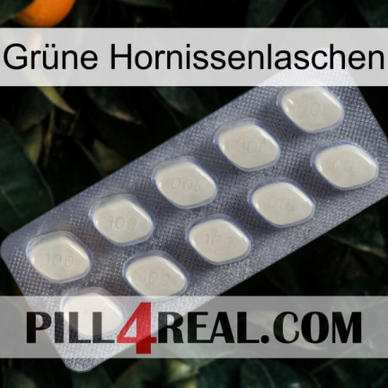 Grüne Hornissenlaschen 08